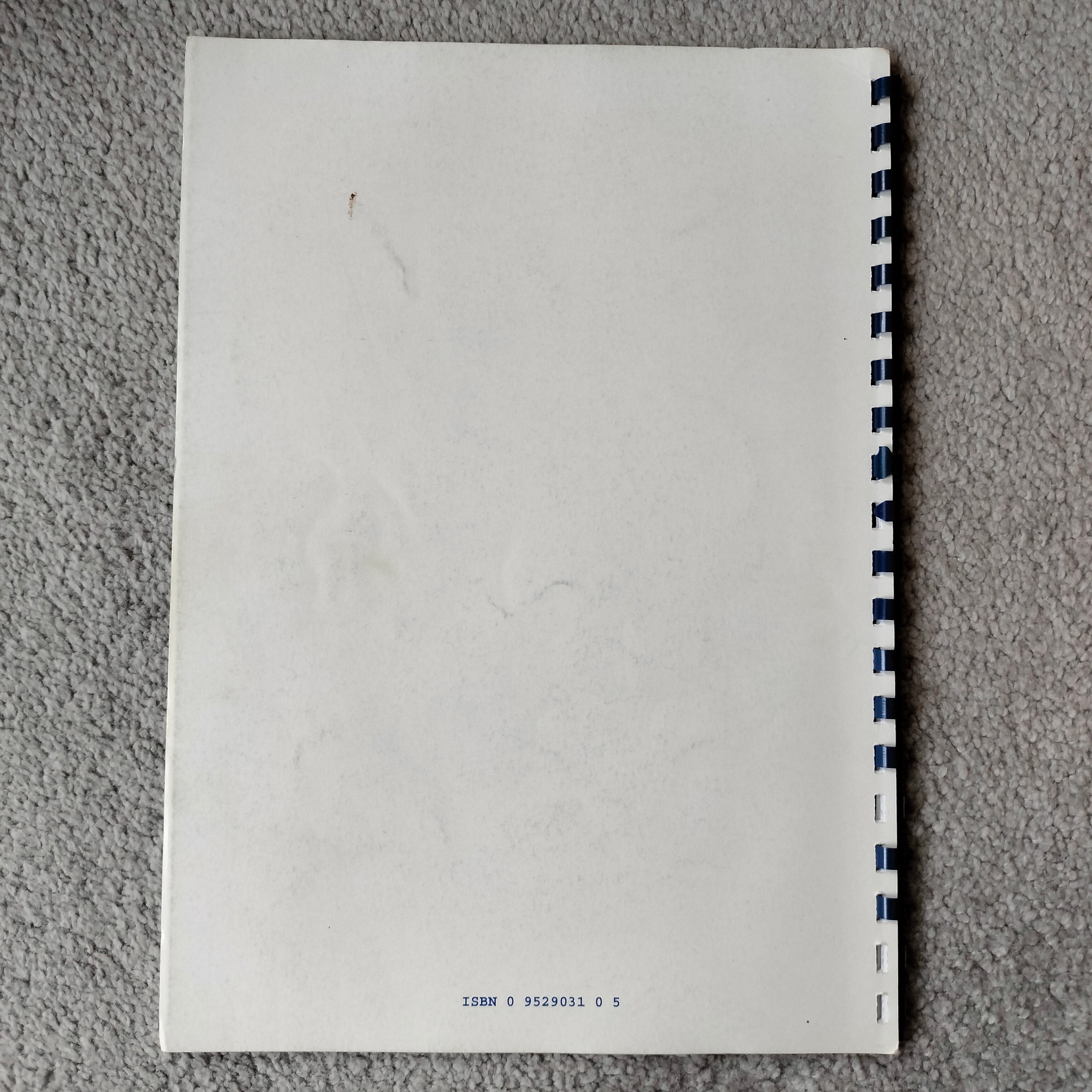 LEARNING TO LOVE YOUR BROTHER KH-970 by Beryl Jarvis Secondary image