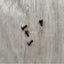 Knitmaster Mod-700 KR Unit BINDING HEAD STT SCREWS